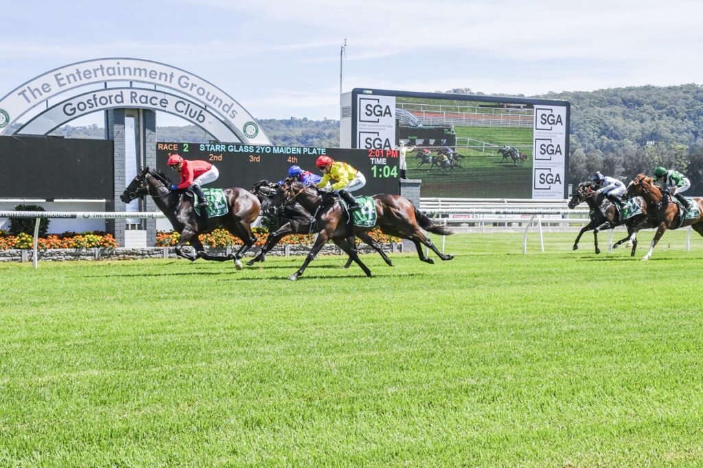 Missile Magnate win in style. Photo: Bradley Photos